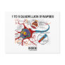 1 To 5 Quadrillion Synapses Inside (Neuron) Post Cards