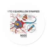 1 To 5 Quadrillion Synapses Inside (Neuron) Stickers