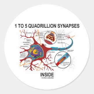 1 To 5 Quadrillion Synapses Inside (Neuron) Sticker