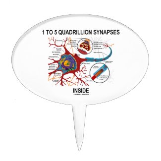 1 To 5 Quadrillion Synapses Inside Neuron Synapse Cake Toppers
