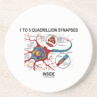 1 To 5 Quadrillion Synapses Inside Neuron Synapse Beverage Coasters