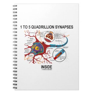 1 To 5 Quadrillion Synapses Inside Neuron Synapse Notebooks