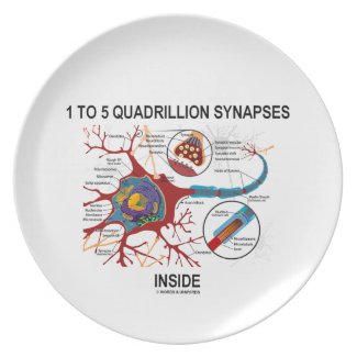 1 To 5 Quadrillion Synapses Inside Neuron Synapse Party Plate