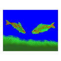 #1 Two Of A Kind Poster posters by FishBum #1 Two Of A Kind Poster posters