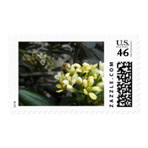 1BeeCloseUp 3 Stamps