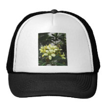 1BeeCloseUp 4 Mesh Hat