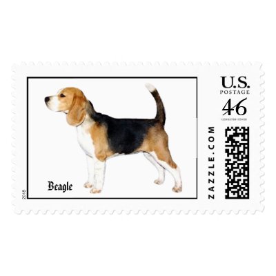 1Fergie-c, Beagle Postage Stamps by MaureenL1
