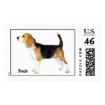 1Fergie-c, Beagle postage