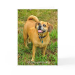 1HCD_3930, glorydaysphotography Cards
