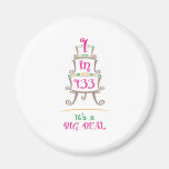 1in133 magnets