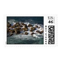 1KODAK 166 STAMP