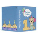 1st Birthday Binder