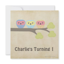 1st Birthday Party Retro Baby Owls Invitation