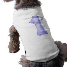 1st Birthday  Pet Tee