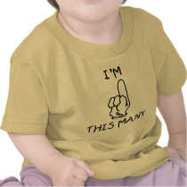 1st Birthday Shirt by sillydingo 1st Birthday Shirt