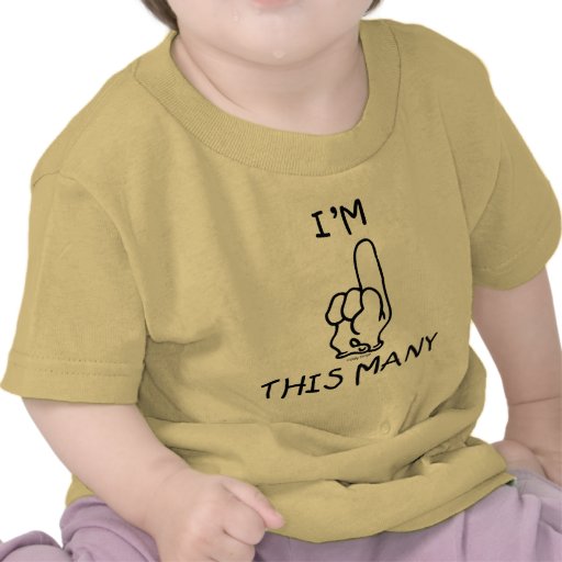 1st Birthday Shirt