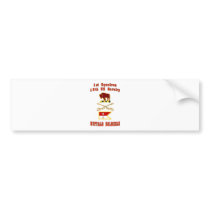 1st SQUADRON  10th U.S. CAVALRY Bumper Stickers