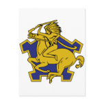1st Squadron 9th Cavalry Crest Headhunters Post Cards