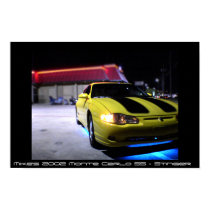 2002 Monte Carlo SS posters
