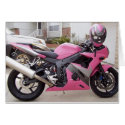 2003 R6 cards