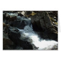 2004.04.24 Creek 2 cards