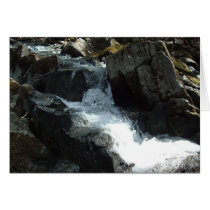 2004.04.24 Creek 2 cards