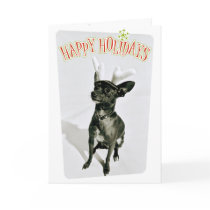 2005 Christmas Puppy cards