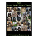 2005 Cocker Spaniel Rescue Poster posters by pegkip 2005 Cocker Spaniel Rescue Poster posters