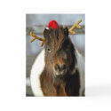 2005 OMRH Christmas Card Photo First Place Winner by OurMims 2005 OMRH Christmas Card Photo First Place Winner