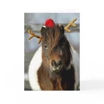 2005 OMRH Christmas Card Photo First Place Winner