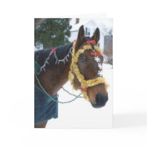 2005 OMRH Christmas Card Photo Third Place Winner