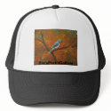 2006-046 Bluejay in the Autumn 16x20 canvas, Ba... hats
