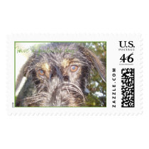 2006_0527Image0009, Have a fantastic day! postage