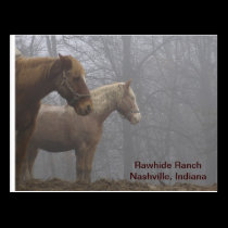 20071221_0021_r1, Rawhide RanchNashville, Indiana postcards