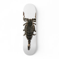 2007_020_993 skateboards by doobies 2007_020_993 skateboards