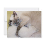 2007 07 06 cats 005_edited-1 custom invites