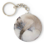 2007 07 06 cats 005_edited-1 key chains
