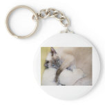 2007 07 06 cats 005_edited-1 key chain