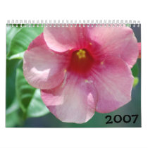 2007 Flowers calendars