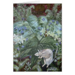 2007_mouse_fern cards