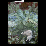 2007_mouse_fern cards