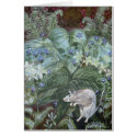 2007_mouse_fern cards