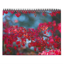 2007 Photo Calendar - Customized