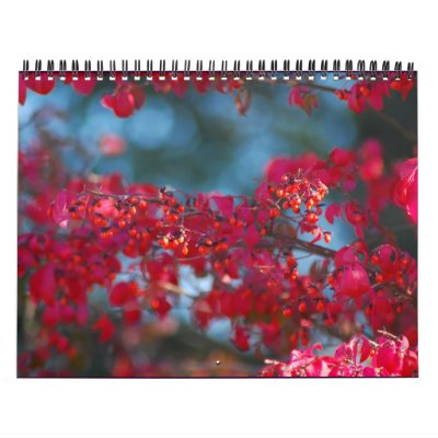2007 Photo Calendar - Customized by Anglave