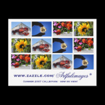 2007 Summer Collection postcards