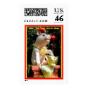 2007 The Year of the Boar postage by buumontemple 2007 The Year of the Boar postage