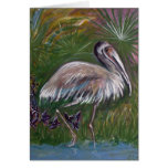 2007_Tropical_Bird Cards
