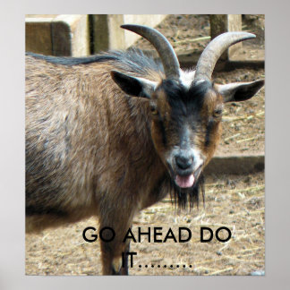 Funny Goat Posters & Prints