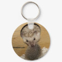 20081206_0055, Moving Hedgehog keychains