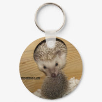 20081206_0055, Moving Hedgehog keychains by starnightstarsky2000 20081206_0055, Moving Hedgehog keychains